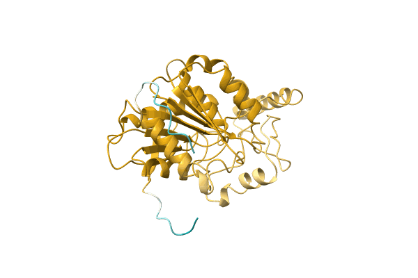 AF-A0A068ACU9-F1 image