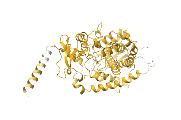 AF-A0A068Q5V6-F1 image