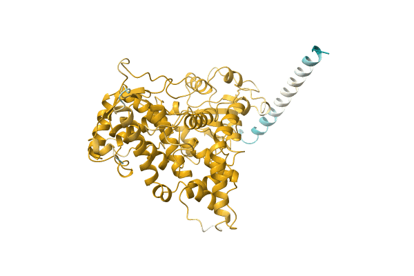 AF-A0A068Q7V0-F1 image