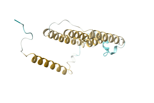 AF-A0A075E4Z8-F1 image