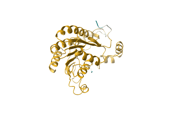 AF-A0A075TRB3-F1 image