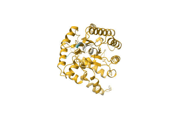 AF-A0A075TXZ1-F1 image