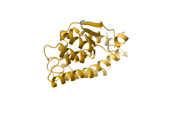 AF-A0A075X244-F1 image