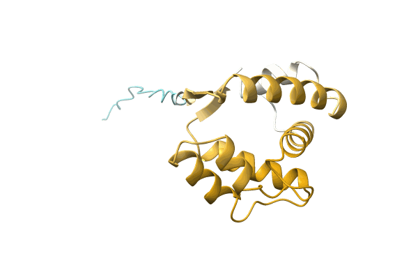 AF-A0A076E7C1-F1 image