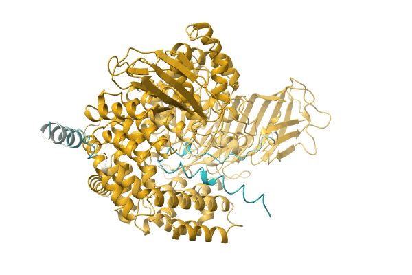 AF-A0A076YIK8-F1 image