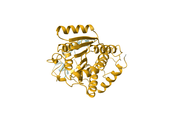 AF-A0A078IS66-F1 image