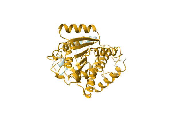 AF-A0A078ISJ6-F1 image