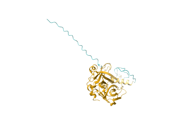 AF-A0A089QFN1-F1 image