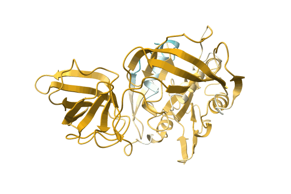 AF-A0A089X149-F1 image