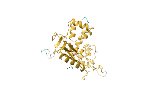 AF-A0A089X161-F1 image