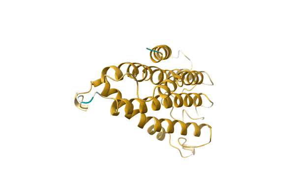 AF-A0A096UY28-F1 image