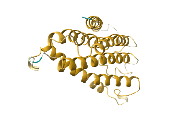 AF-A0A096UY57-F1 image