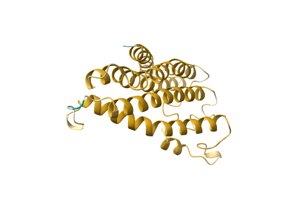 AF-A0A096UY86-F1 image