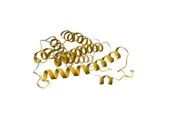 AF-A0A096V1H2-F1 image