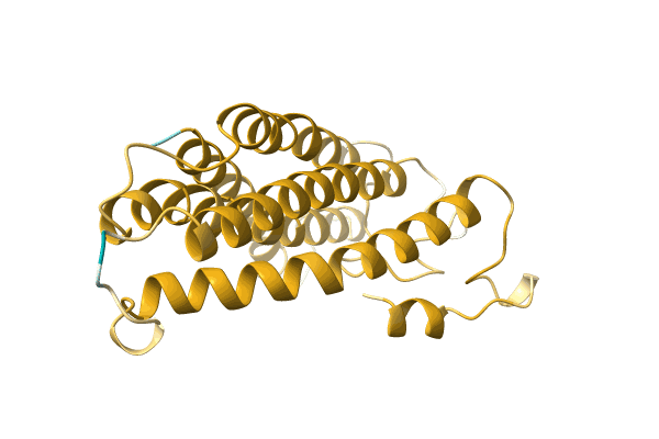 AF-A0A096V2L6-F1 image