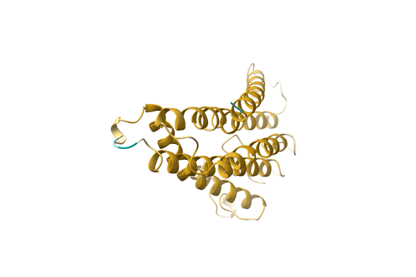 AF-A0A096V2R6-F1 image