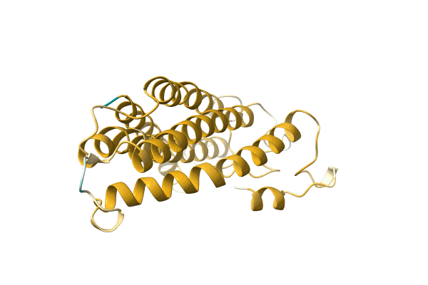 AF-A0A096V342-F1 image