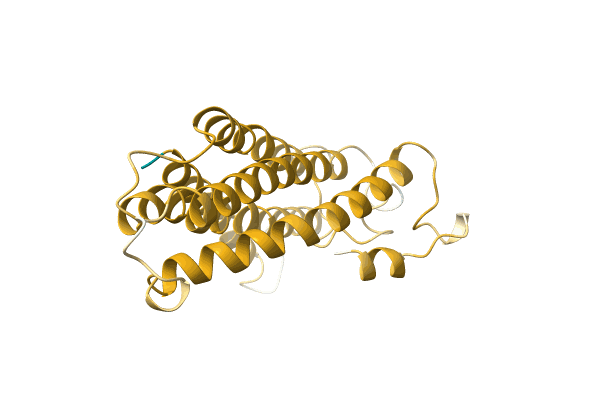 AF-A0A096V435-F1 image