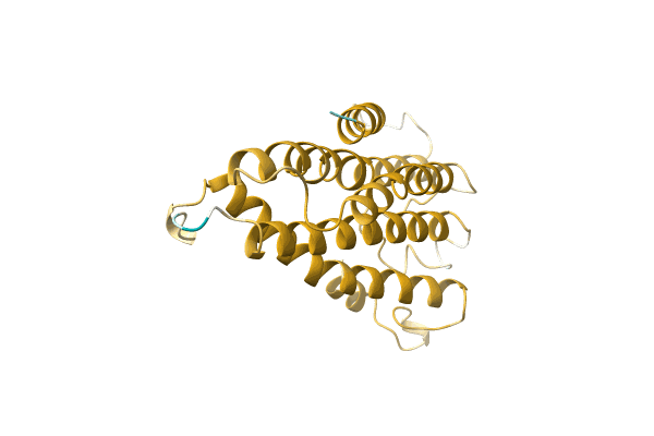 AF-A0A096V526-F1 image