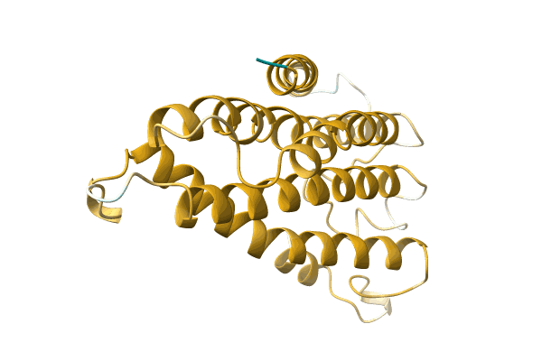 AF-A0A096V582-F1 image