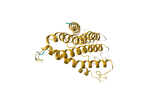 AF-A0A096V659-F1 image