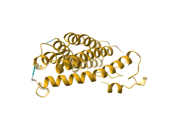 AF-A0A096V6X4-F1 image