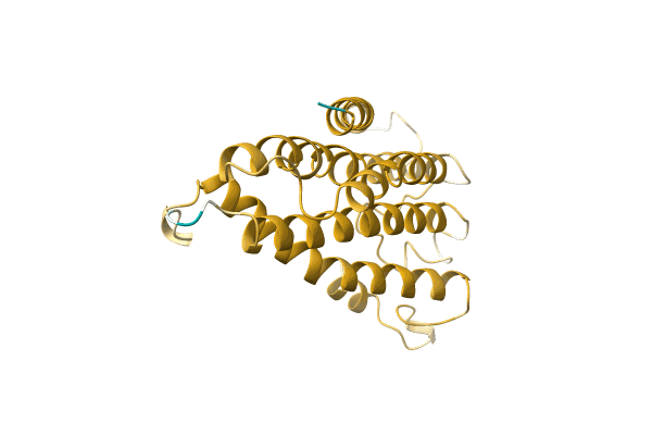 AF-A0A096V7X9-F1 image