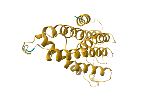 AF-A0A096V7Z9-F1 image