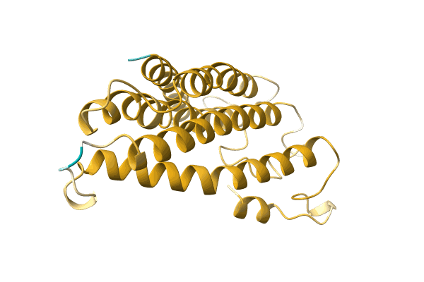 AF-A0A096V8C4-F1 image