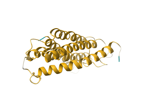 AF-A0A096V9C0-F1 image