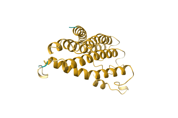 AF-A0A096VAW8-F1 image