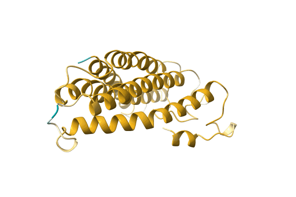 AF-A0A096VB21-F1 image