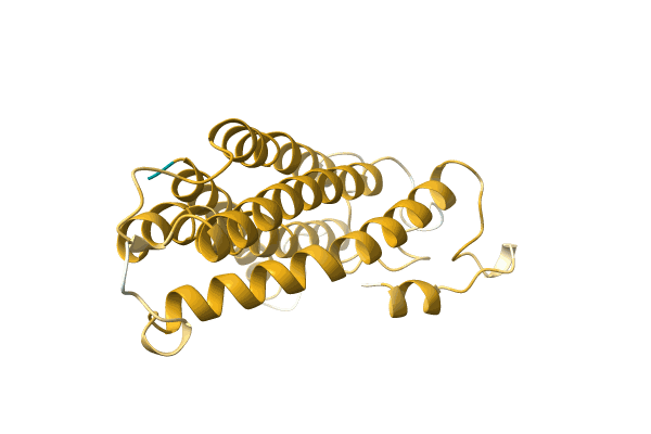 AF-A0A096VD33-F1 image