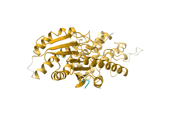 AF-A0A096VHZ1-F1 image