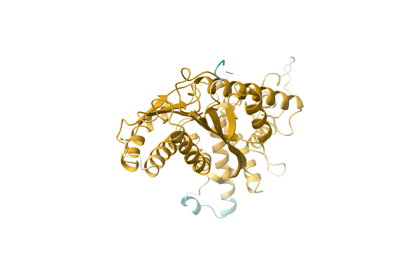 AF-A0A096VHZ6-F1 image