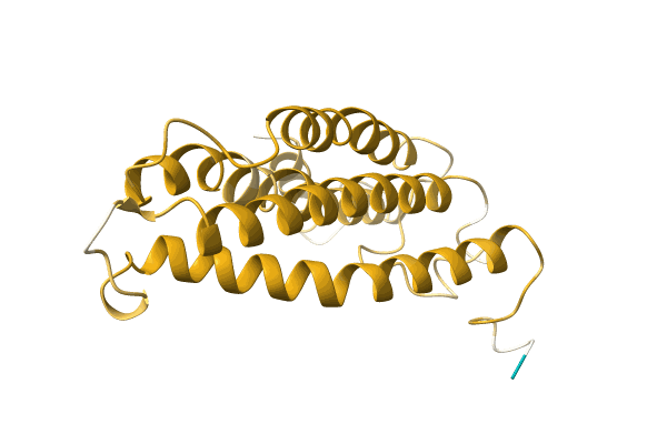 AF-A0A096XF03-F1 image