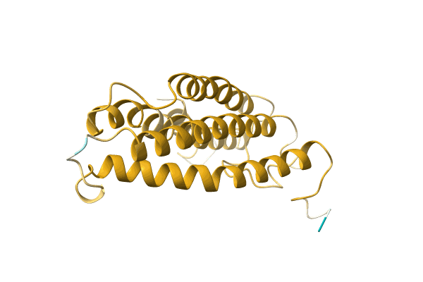 AF-A0A096XF52-F1 image