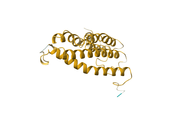 AF-A0A096XF60-F1 image