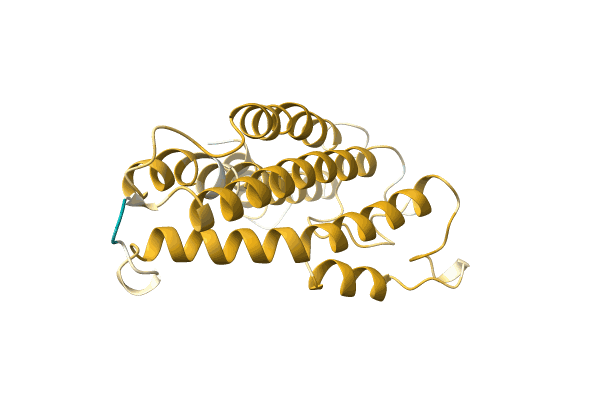 AF-A0A096XP16-F1 image