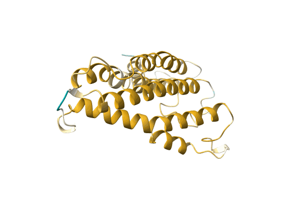 AF-A0A096XP24-F1 image