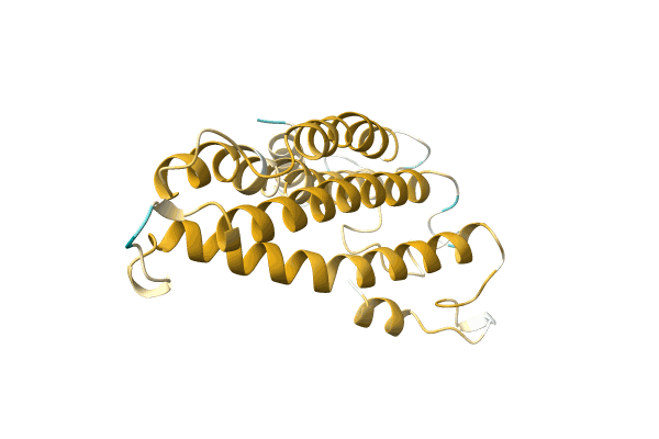 AF-A0A096XP82-F1 image