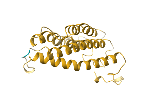 AF-A0A096XRY0-F1 image