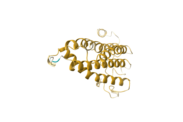 AF-A0A096XS12-F1 image