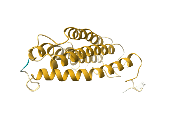 AF-A0A096Y0Q9-F1 image