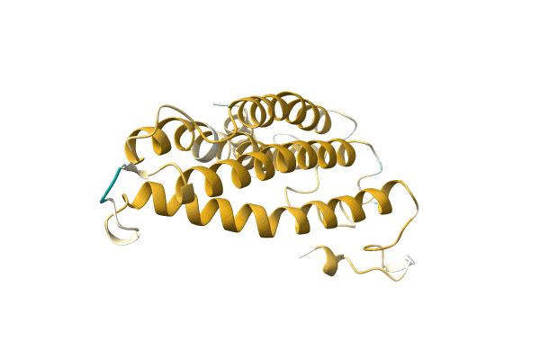 AF-A0A096Y0W0-F1 image