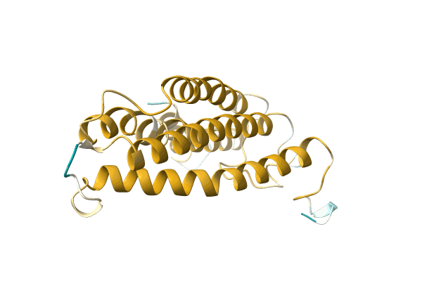 AF-A0A096Y0W1-F1 image