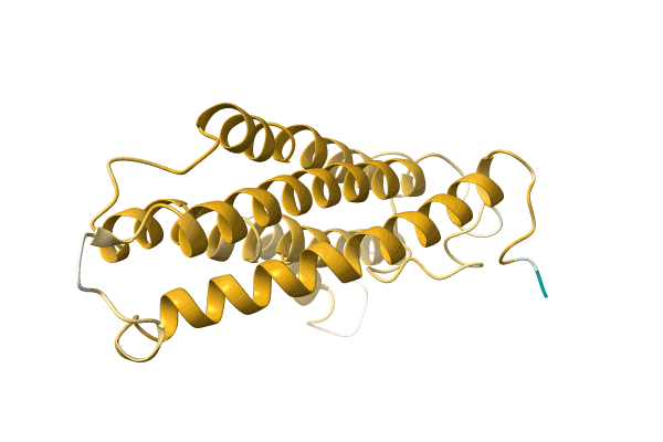 AF-A0A096Y0Y6-F1 image