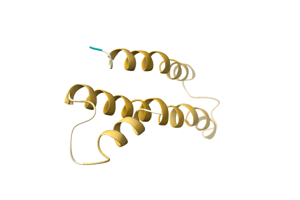 AF-A0A096ZXB5-F1 image