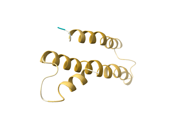 AF-A0A096ZXB7-F1 image