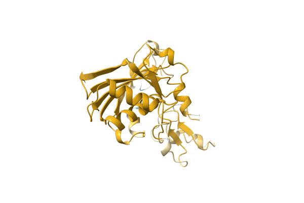 AF-A0A097DDI4-F1 image